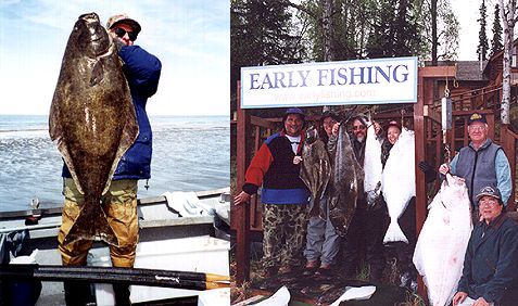 Spring Halibut in the Shallows!