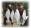 Cook Inlet Halibut Anglers